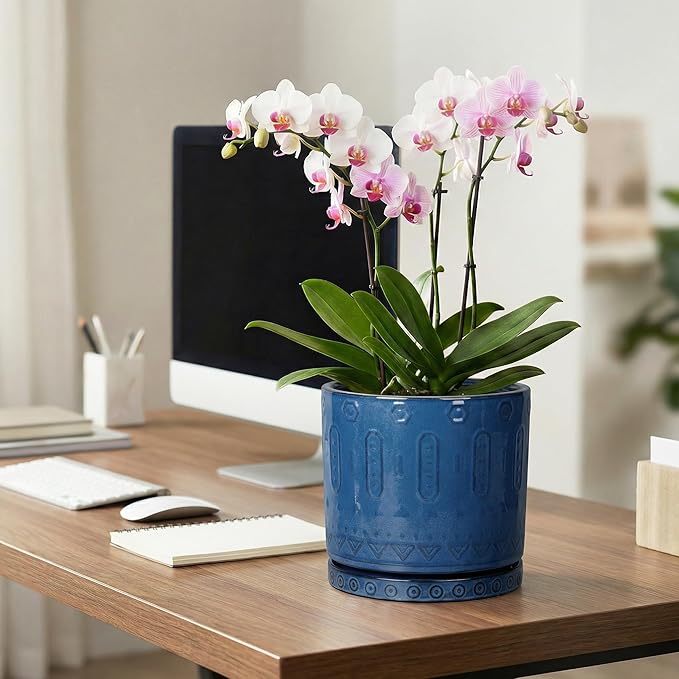 Eightpot 8 Inch Planter, Ceramic Plant Pots with Drainage Hole and Tray, Round Flower Pots for Indoor Plants Outdoor, Boho Planter, Decorative Pot for Plants, Plant Lover Gifts, House Decor, Blue