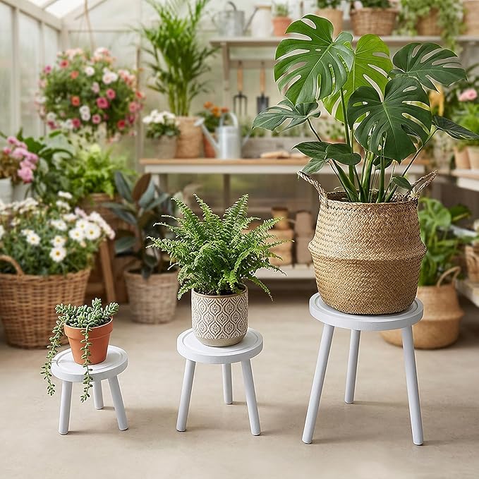 3-Pack Wood Plant Stands Indoor, Single Plant Stand for 6-12 Inch Pots, Mid-Century Modern Plant Stool, Tall Plant Stand for Large Plants for Living Room, Balcony, Office (White)