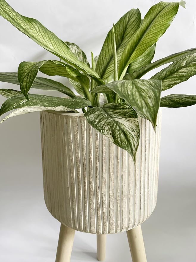 RISEON Handmade Mid Century Modern Wood Planter, Rustic Indoor Flower Pot Plant Stand,Large Floor Planter (Large B)