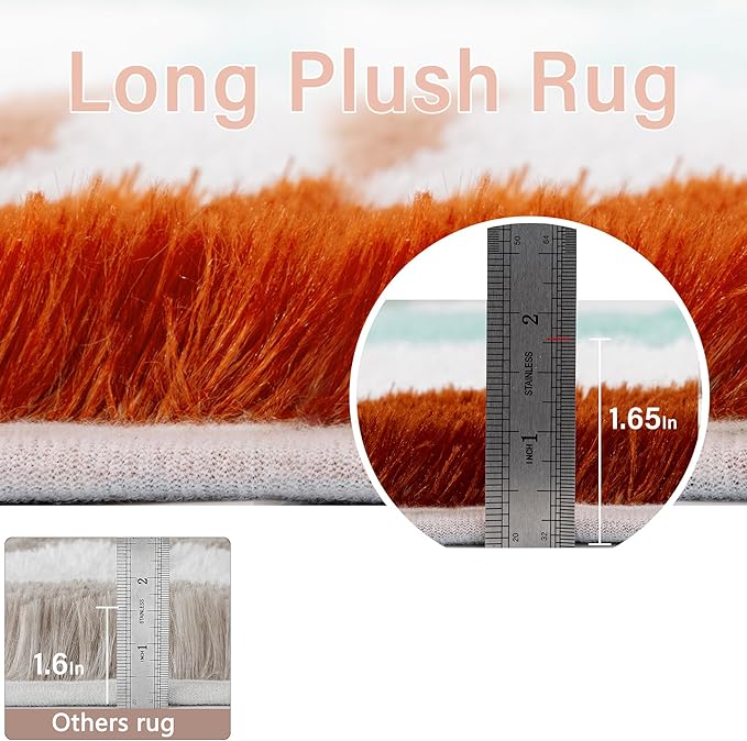Checkered Rug 6x9 for Living Room, Colorful Modern Shag Rug Washable Non-Slip Large Area Rug Super Soft Indoor Fuzzy Carpet Fluffy Rugs for Bedroom Home Aesthetic Decor