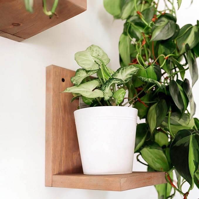 Daniel's Plants 3-Pack Mid-Century Modern L-Shaped Floating Shelves | Solid Wood Plant Ledge | Wall Mounted Shelf Kit (Prairie Sand)