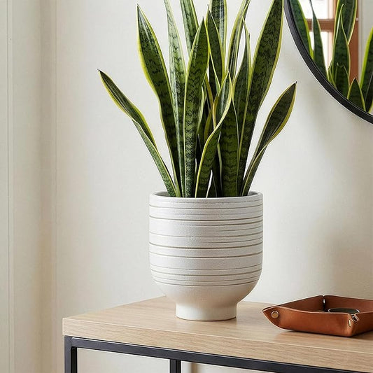 Modern Ceramic Pottery Planter for Indoor Plants, White Minimalist Indoor Planter with Drainage, Contemporary Decorative Pot for Living Room, Office & Shelf Styling