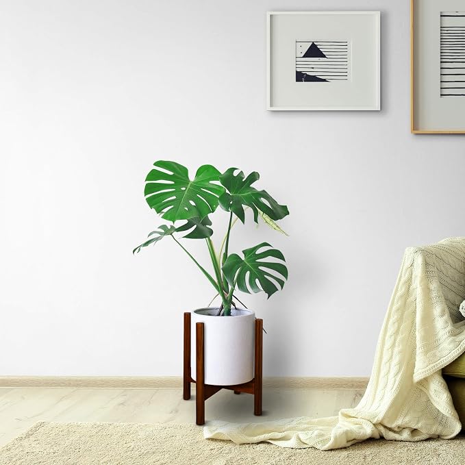 Casual Home Mid-Century Modern, Fit Up to 12", Pot NOT Included Wood Plant Display Stand, Antique Mahogany