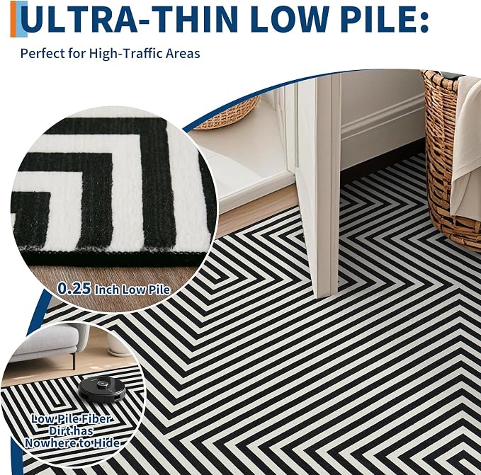 Washable 5x7 Area Rugs for Living Room Abstract Lines Rug Non Slip Soft Bedroom Modern Carpet Low Pile Non Slip Indoor Carpets for Bedroom Dining Home Office Nursery, Black