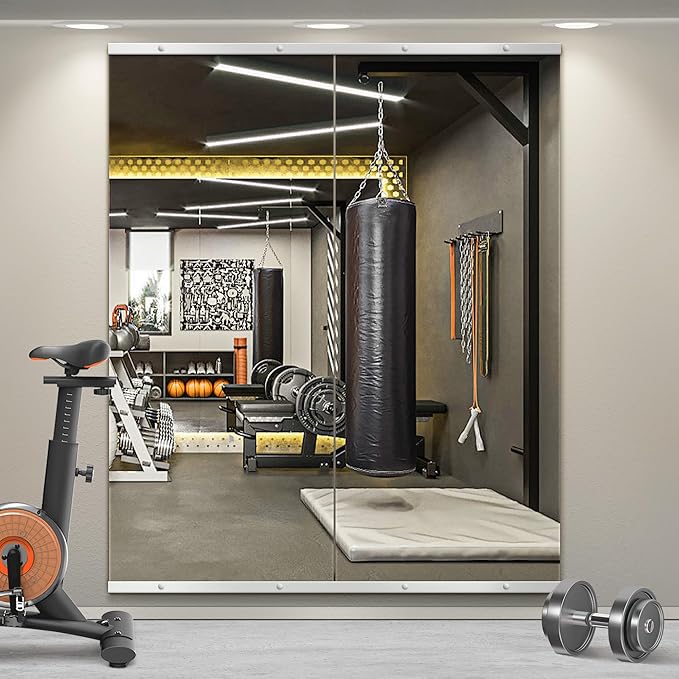 Home Gym Mirror for Wall,60x25x2PCS Full Length,Glass Frameless Body Large Mirror for Home Gym,Workout,Bedroom,Garage(Silver)