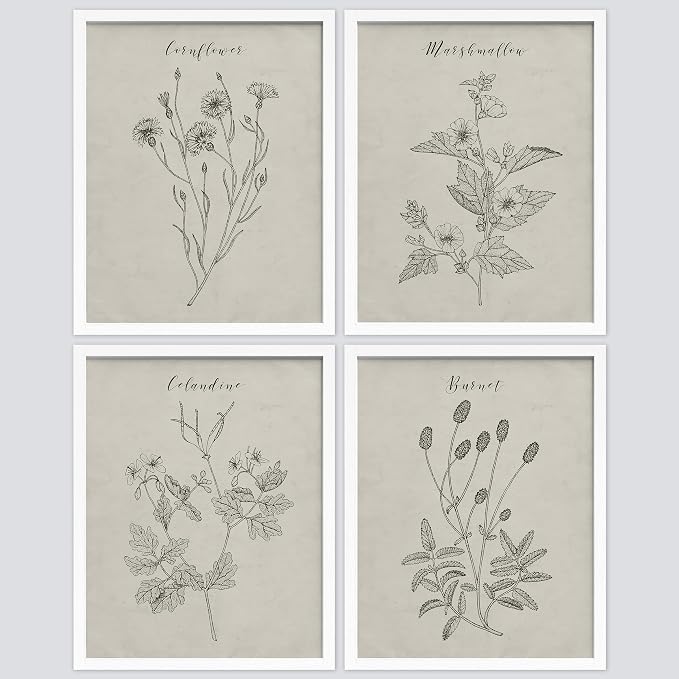 SIGNWIN Framed Vintage Wildflower Wall Art, Set of 4 Plant Collage Drawing Wall Decor Prints, Nature Wilderness Wall D¨¦cor for Living Room, Bedroom - 12"x16" White
