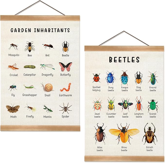 ZTGDA Insect Posters Garden Inhabitants&Beetles Linen Canvas Wall Art with Wooden Frame, Montessori Nature Posters for Classroom Playroom or Homeschool Decor(Set of 2 Insect)