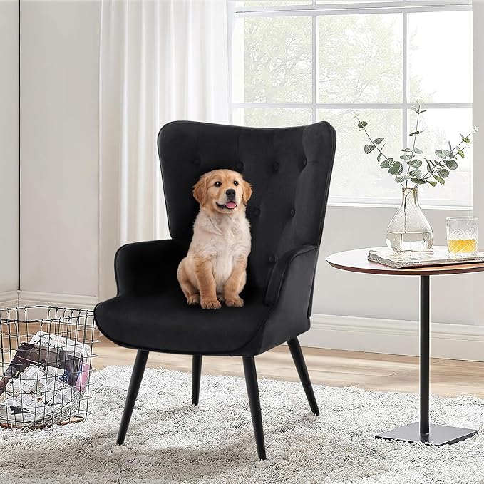 Furnimart Accent Chairs Set of 2, Black Velvet Reading Armchairs with High Backrest, Wingback Corner Chairs - Mid Century Modern for Living Room, Bedroom, Waiting Room