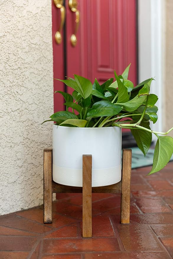 Flora Bunda Mid Century 8 Inch Ceramic Planter Large Two Tone Pot on Wood Stand, White