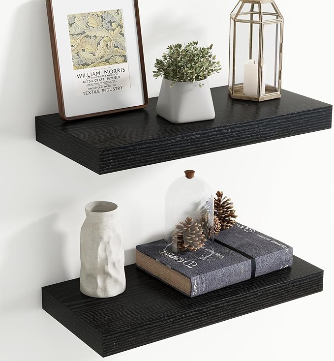 20 Inch Floating Shelves for Wall, 8 Inch Deep Floating Shelf for Storage & Display, Rustic Wall Mounted Shelf with Invisible Brackets for Living Room, Kitchen, Bathroom, Home Decor, Set of 2, Black