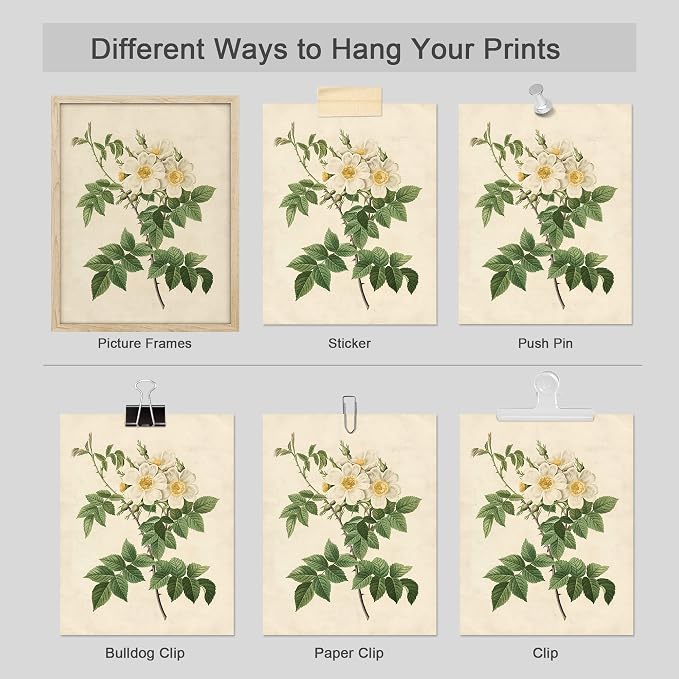 SIGNWIN Poster Bathroom Decor 8"x10", Wall Art Room Decor Multicolor for Living Room, Bedroom, Office Vintage Colorful Wildflower Variety Nature Wilderness Plant Art Floral Botanical