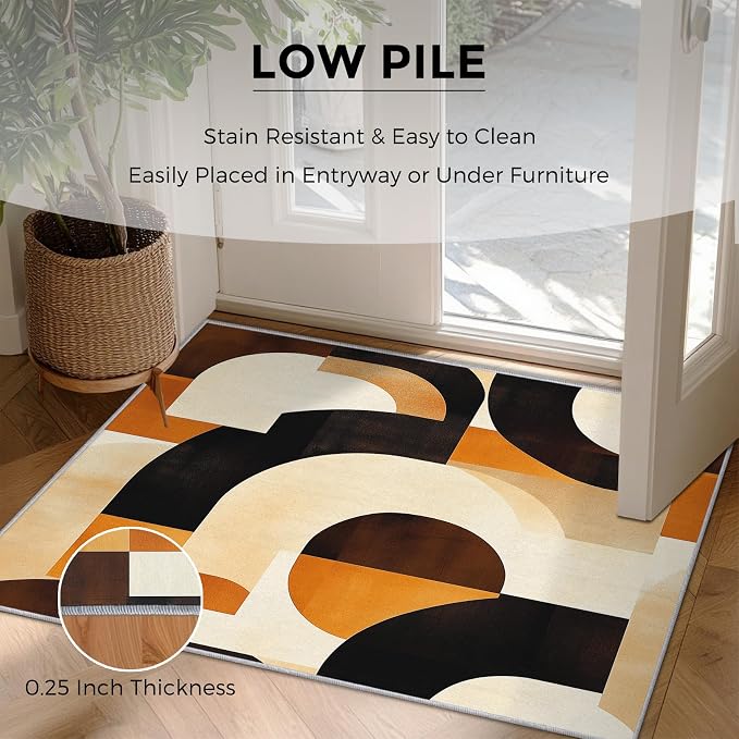 Mid Century Modern Rugs for Bedroom Decor, 3x4 ft, Abstract Geo Area Rugs for Living Room, Soft Non Slip Washable MCM Geometric Carpet Home Decorations Dt-Ghf-28