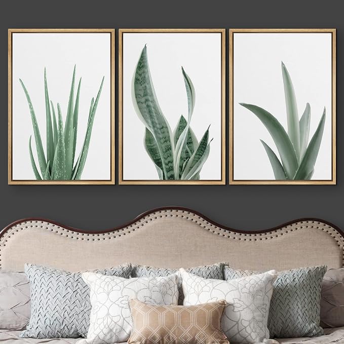 wall26 Framed Canvas Print Wall Art Set Minimal Snake Plant Agave Succulents Nature Wilderness Photography Modern Art Bohemian Decorative for Living Room, Bedroom, Office - 16"x24"x3 Natural