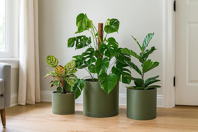D'vine Dev 8 Inch 10 Inch 12 Inch, Set of 3 Plastic Planter Pots for Plants with Drainage Hole and Seamless Saucers, Olive, X-Large, 74-V-I-5