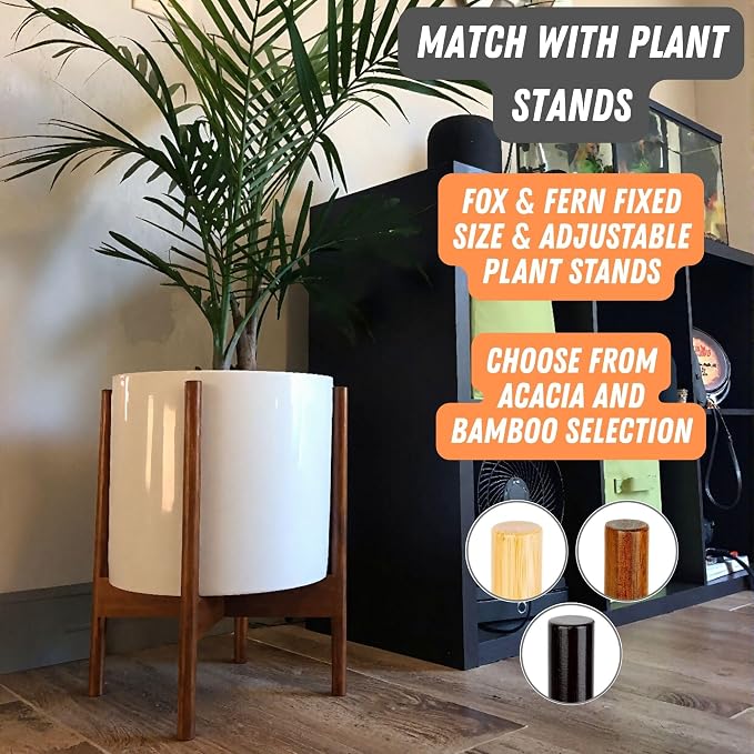 Fox & Fern Large Indoor Planter, Modern Large Plant Pot for Indoor or Outdoor, UV and Frost Resistant - 10 Inch, Fiberstone, Glossy White Flower Pot with Drainage Plug, Lightweight