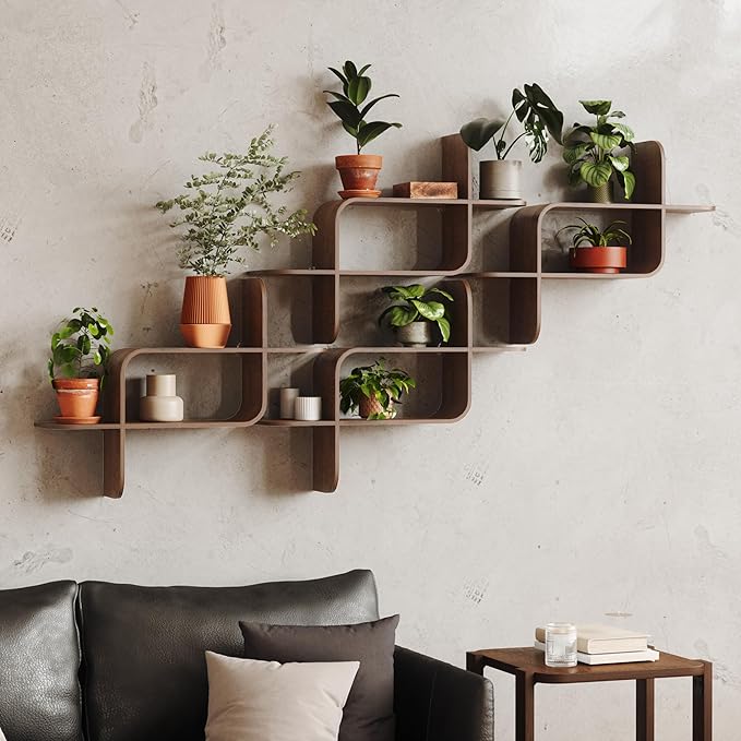 Umbra Montage Floating Wall Shelf Display Case, Made of Natural Bent Wood, Light Walnut