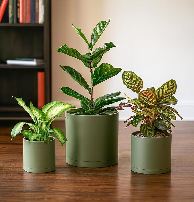 D'vine Dev 6.5 Inch 8 Inch 10 Inch, Set of 3 Plastic Planter Pots for Plants with Drainage Hole and Seamless Saucer, Olive, Large, 74-V-I-4