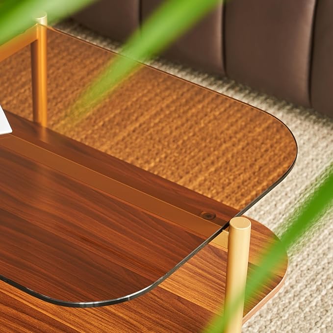 Saint Mossi Oval Glass Coffee Table for Living Room, Mid Century Modern Center Table, Brown Glass & Coffee Brown MDF Bottom Shelf with Rounded Corners, L41xW21xH17