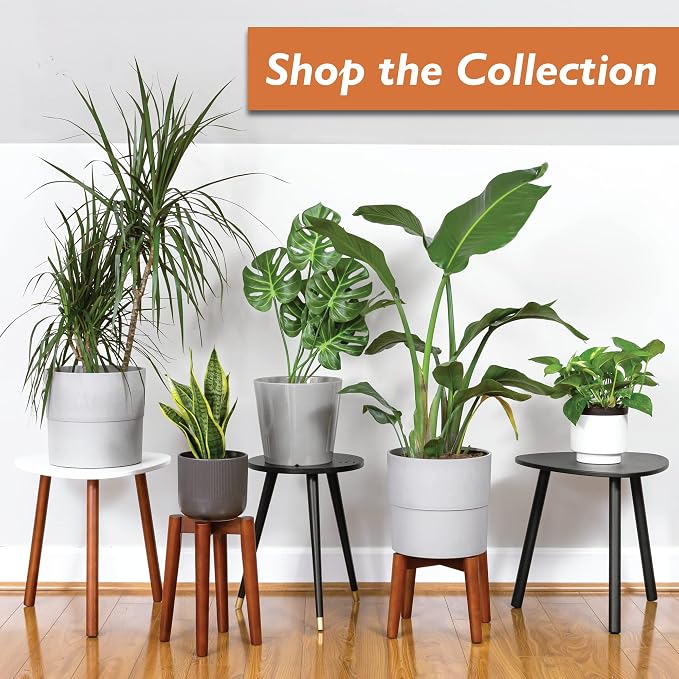 Ilyapa Indoor Plant Stand - Mid Century Modern Floor Planter Stand, 8 Inch Tall, 12 Inch Wide Walnut Stain Pot Riser - Plants Display Rack