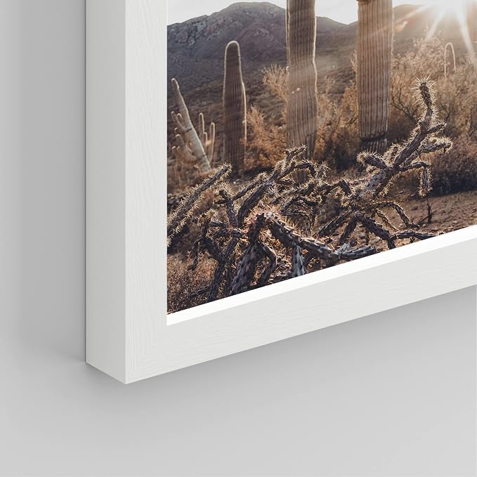 SIGNWIN Framed Cactus Desert Landscape Wall Art, Set of 4 Southwest Texas Arizona Saguaro Wall Decor Prints, Nature Wilderness Wall Décor for Living Room, Bedroom - 8"x10"x 4 White