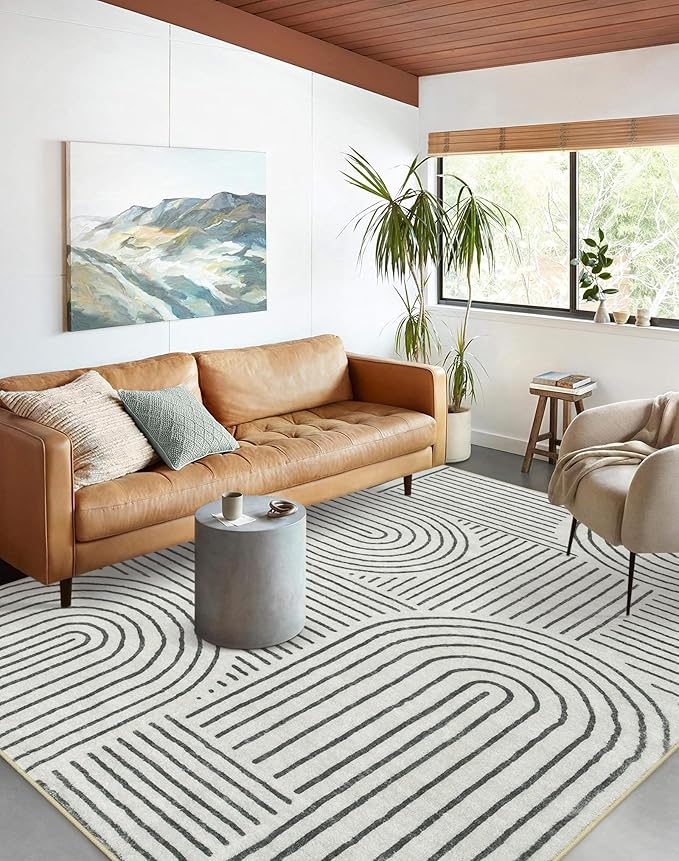 Lahome Abstract Washable Area Rug, 5x7 Rug for Bedroom Non-Slip Soft Living Room Rug, Ultra-Thin Modern Black and White Rug Throw Large Carpet for Dining Room Darrell(5'x7',Black)