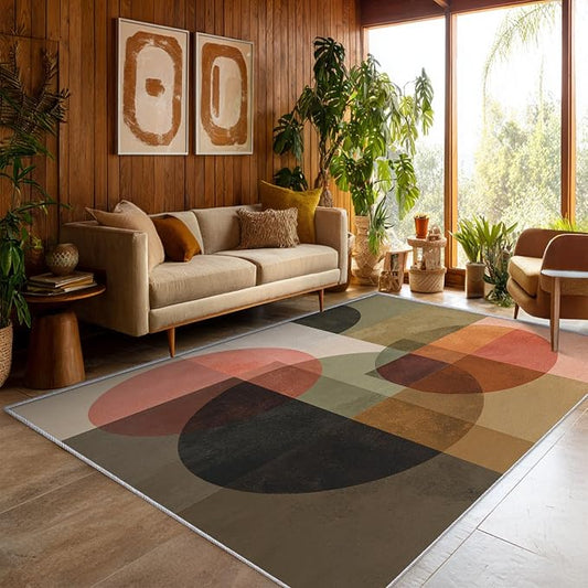 Mid Century Modern Rugs for Home Decor, 4x6 ft, Abstract Geometric Area Rugs for Living Room, Soft Non Slip Washable Retro Geo Circles MCM Carpet Bedroom Decorations D-1g