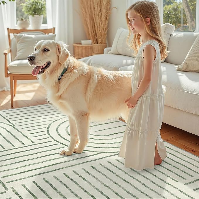 DCX Abstract Machine Washable 8x10 Rug, Sage Green Modern Accent Rug for Living Room, Soft Low Pile Non Slip Carpet, Kid & Pet Friendly Stain Resistant Rug for Bedroom Dining Room Office