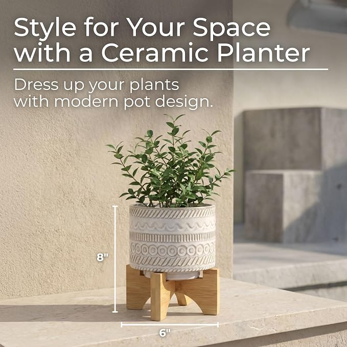 Embossed Ceramic Planters with Wood Stand for Flower Pots Home Decor Pots for Entryway, Tabletop, and Garden - Small Raised Container with Stand for Indoor and Outdoor Plants - 8", Ivory & Tan