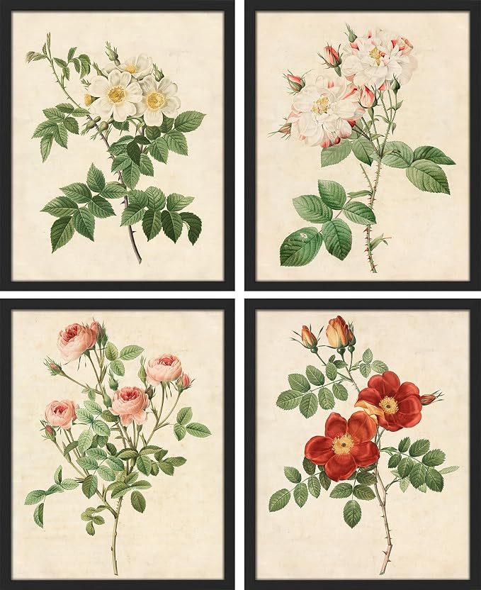 SIGNWIN Framed Vintage Colorful Wildflower Wall Art, Set of 4 Variety Floral Wall Decor Prints, Nature Wilderness Wall D¨¦cor for Living Room, Bedroom - 12"x16" Black