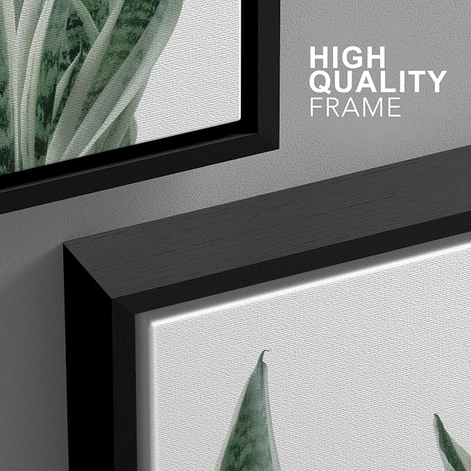 wall26 Framed Canvas Print Wall Art Set Minimal Snake Plant Agave Succulents Nature Wilderness Photography Modern Art Bohemian Decorative for Living Room, Bedroom, Office - 16"x24"x3 Black