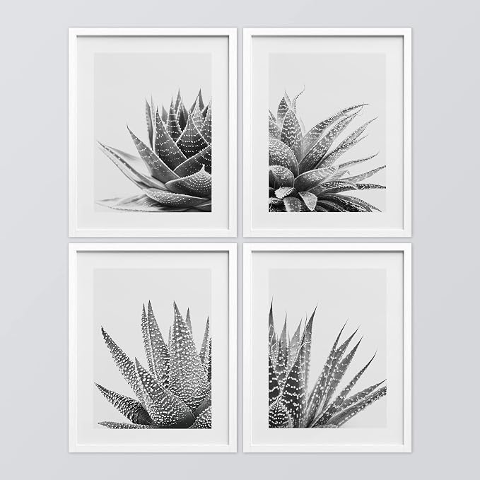 SIGNWIN Framed Black White Snake Plant Agave Cactus Succulent Wall Art, Set of 4 Floral Botanical Wall Decor Prints, Nature Wilderness Wall Décor for Living Room, Bedroom - 11"x14" White