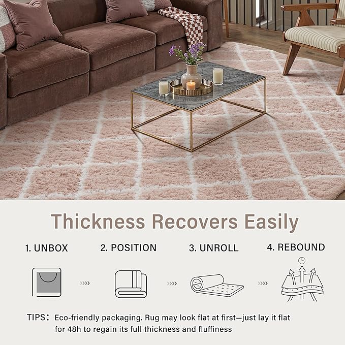 4x6 Checkered Rug for Living Room Pink and White Modern Soft Area Rug Fluffy Non-Slip Carpet for Bedroom Playroom Home Aesthetic Decor