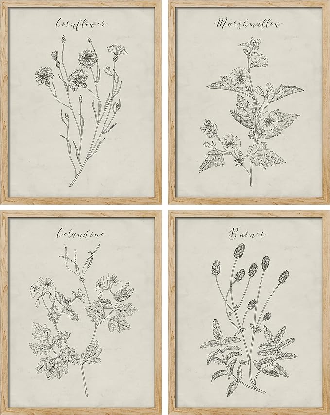 SIGNWIN Poster Bathroom Decor 8"x10", Wall Art Room Decor Multicolor for Living Room, Bedroom, Office Vintage Wildflower Plant Collage Drawing Nature Wilderness Plant Art Floral Botanical