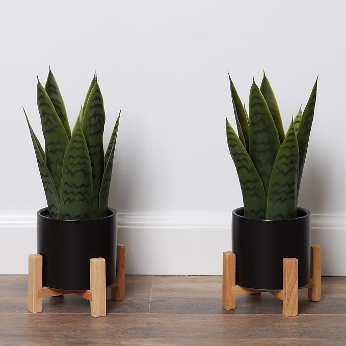 Bornbridge Artificial Snake Plant with Mid Century Plant Stand - Sansevieria Plant in Modern Planter - Artificial Plants with Indoor Plant Stand - Faux House Plants (Small / 2 Pack)
