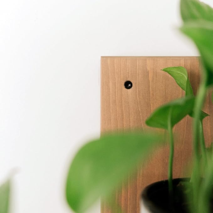 Daniel's Plants 3-Pack Mid-Century Modern L-Shaped Floating Shelves | Solid Wood Plant Ledge | Wall Mounted Shelf Kit (Prairie Sand)