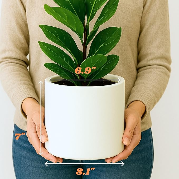 Fox & Fern Large Indoor Planter, Modern Large Plant Pot for Indoor or Outdoor, UV and Frost Resistant - 8 Inch, Fiberstone, Matte White Flower Pot with Drainage Plug, Lightweight