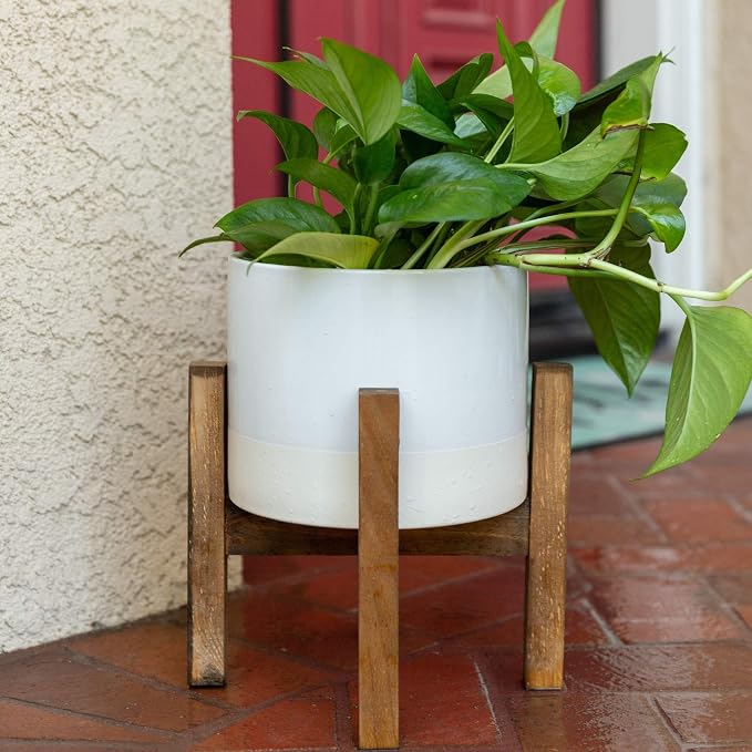 Flora Bunda Mid Century 8 Inch Ceramic Planter Large Two Tone Pot on Wood Stand, White