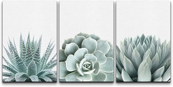 wall26 Wall Art Print Set Green Succulent and Cactus Variety Wilderness Nature Illustrations Modern Art Rustic Closeup Colorful for Living Room, Bedroom, Office - 16"x24"x3