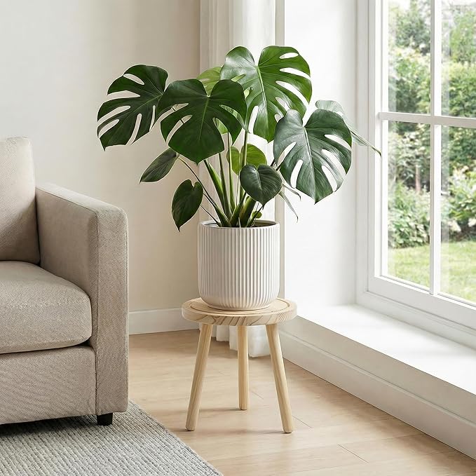 Wood Plant Stands Indoor, Single Plant Stand Modern Plant Table for Large Plants, Wooden Plant Stool Tall Plant Holder Small Round Side/End Table for Living Room Balcony Office (Light Brown)