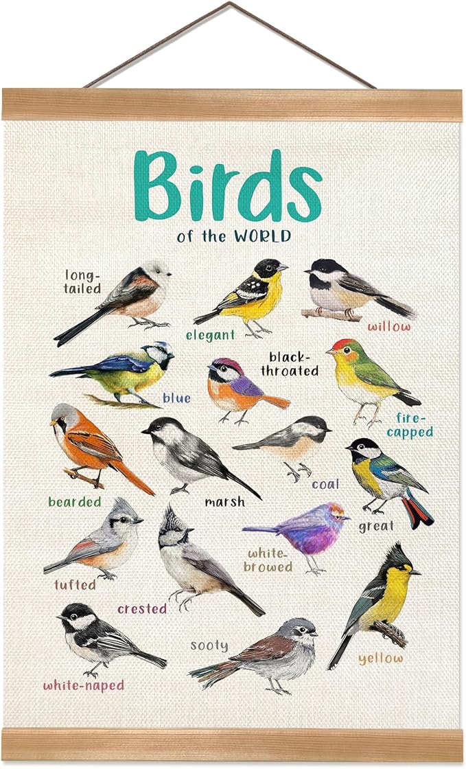ZTGDA Birds Vintage Wall Art – Hanging Poster with Solid Wood Frame, Linen Canvas Bird Illustration Poster, Birds Wall Decor for Living Room Playroom Classroom, Birds Lovers Gift12x16inch (Tits)