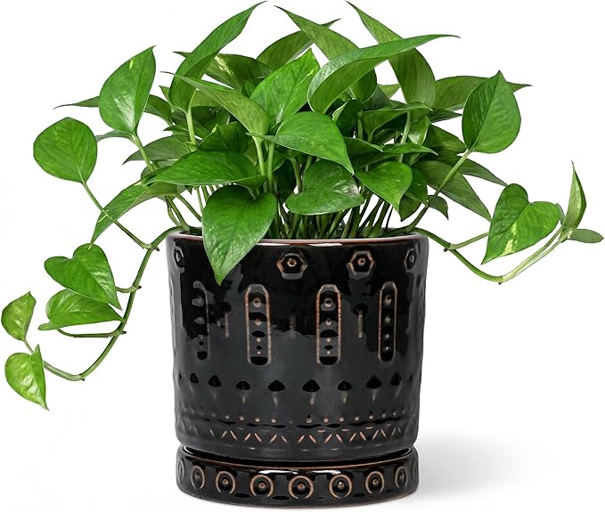 Eightpot 6 Inch Plant Pot, Ceramic Pots for Plants with Drainage Hole and Saucer, Round Planter for Indoor Outdoor Plants, Modern Decorative Flower Pots, Bedroom Decor, Gifts for Plant Lovers, Black