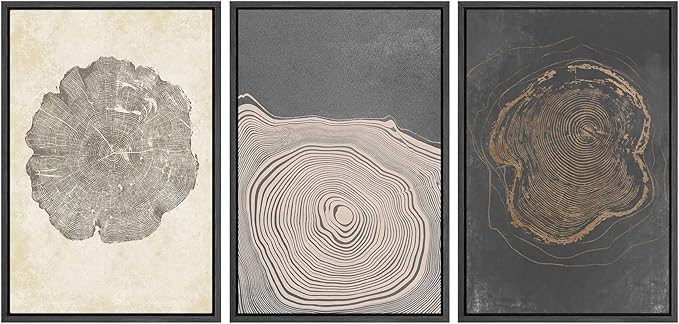 SIGNWIN Framed Canvas Print Wall Art Set Pastel Gray Wood Tree Ring Spirals Nature Abstract Drawings Modern Art Contemporary Minimal for Living Room, Bedroom, Office - 16"x24"x3 Black