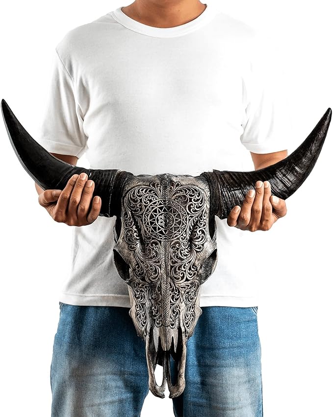 Skull Bliss - Hand-Carved Real Authentic Taxidermy Cow Skull/Bull Skull Wall Decor with Horns/Real Animal Cow Skull Wall Decor (Standard Horns)