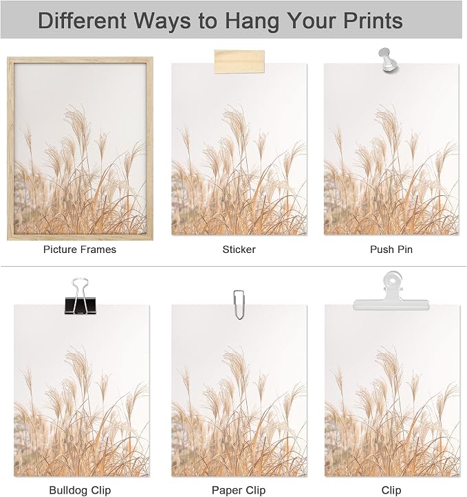 SIGNWIN Poster Bathroom Decor 8"x10"x 4, Wall Art Room Decor Multicolor for Living Room, Bedroom, Office White Pampas Grass Beach Ocean Shore Horizon Nature Wilderness Realism Landscape Colorful