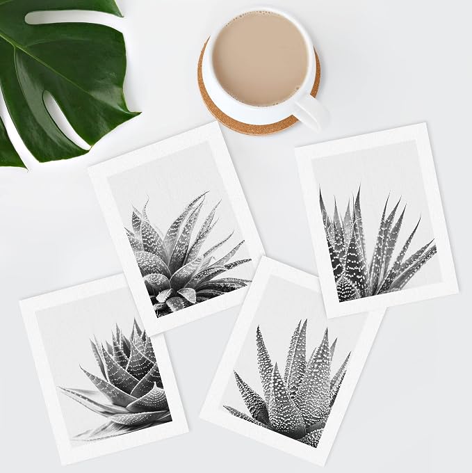 SIGNWIN Poster Set Black White Snake Plant Agave Cactus Succulent Close Up Floral Botanical Photography Modern Art Decorative Scenic Multicolor Nature Wilderness for Bedroom - 11"x14"x4