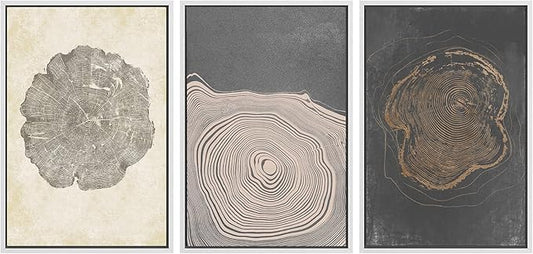 SIGNWIN Framed Canvas Print Wall Art Set Pastel Gray Wood Tree Ring Spirals Nature Abstract Drawings Modern Art Decorative Contemporary Minimal for Living Room, Bedroom, Office - 16"x24"x3 White