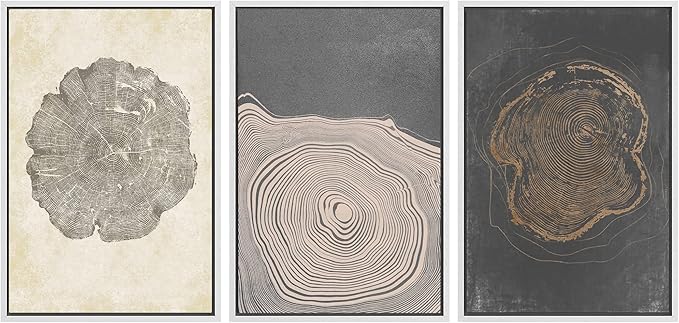 SIGNWIN Framed Canvas Print Wall Art Set Pastel Gray Wood Tree Ring Spirals Nature Abstract Drawings Modern Art Decorative Contemporary Minimal for Living Room, Bedroom, Office - 24"x36"x3 White