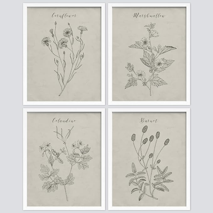 SIGNWIN Framed Vintage Wildflower Wall Art, Set of 4 Plant Collage Drawing Wall Decor Prints, Nature Wilderness Wall Décor for Living Room, Bedroom - 11"x14" White