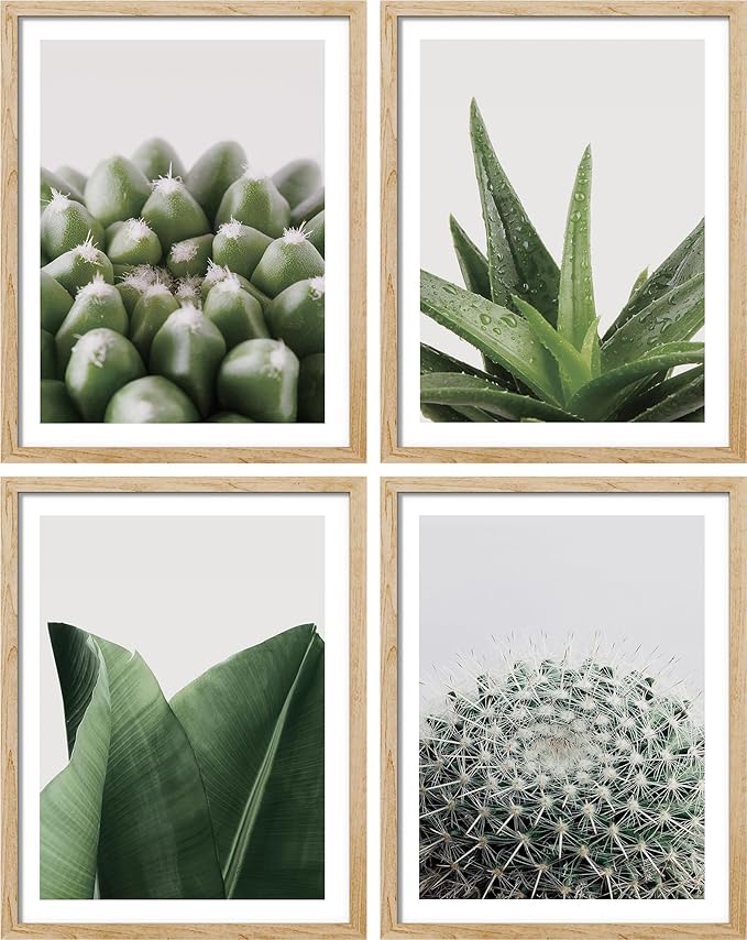 SIGNWIN Adhesive Canvas Poster Tropical Island Green Desert Plant Cactus Snake Plant Nature Wilderness Photography Realism Decorative Rustic Cozy Zen for Living Room, Bedroom, Office - 8"x10"x 4