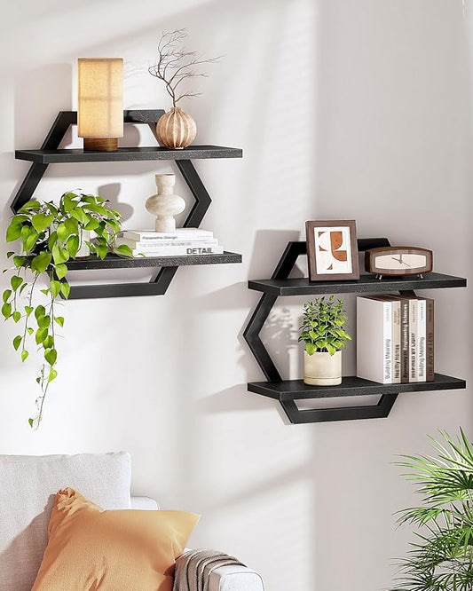 CHOEZON Hexagon Floating Shelves for Wall, Set of 2, 2 -Tier Hanging Shelves, Wall Mounted Storage Shelves, for Living Room, Bedroom, Kitchen, Home Office, Study, Black TBJ06P2BB